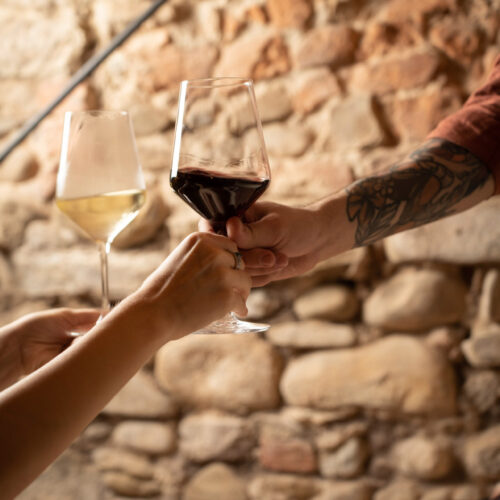A celebratory toast with red and white wine in the rustic stone cellar of Oratio Wine Bar & Library in Florence.