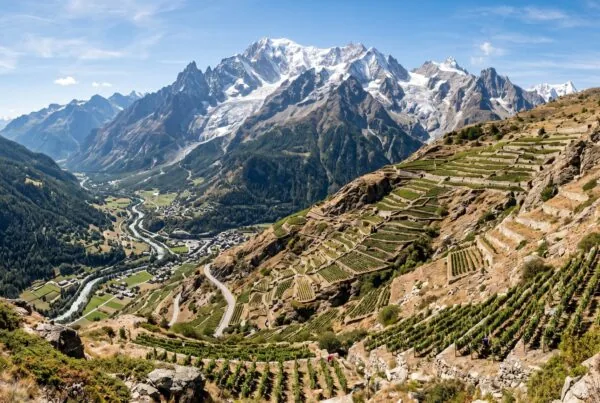 Steep stone-terraced vineyards high in the Aosta Valley with snow-capped alpine peaks including Mont Blanc