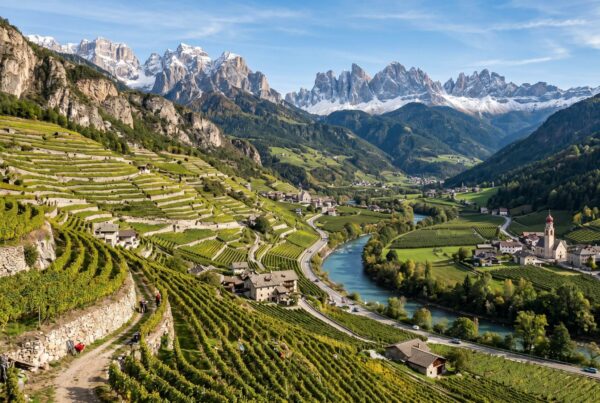 Steep terraced vineyards climbing alpine slopes in Trentino-Alto Adige beneath the Dolomites