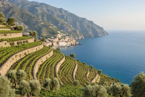 Dry-stone vineyard terraces on steep Ligurian cliffs dropping into the blue Ligurian Sea under soft sunlight